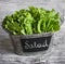 Fresh green salad in a vintage bucket