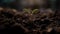 Fresh green sapling grows from wet dirt, symbolizing new beginnings generated by AI