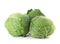 Fresh green savoy cabbages