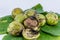Fresh green shell walnuts