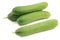 Fresh green snack cucumbers