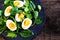 Fresh green spinach baby leaves and boiled eggs cut in a half on