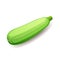 Fresh green squash icon isolated, healthy organic food, vegetable, vector illustration.