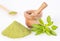 Fresh green Stevia herb and extract powder - Stevia rebaudiana. white background