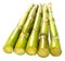 Fresh green sugarcane