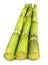 Fresh green sugarcane