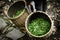 Fresh green tea leaves in bamboo basket are collected for further processing in hangzhou china