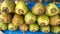 Fresh green tender coconut, coconuts, Cocos nucifera is a member of the palm tree family