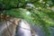 The fresh green of Tokyo Meguro River