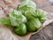 fresh green tomatillo fruits on paper