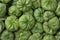 Fresh green tomatillo in a husk close up full frame