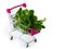 fresh green vegetables in a grocery basket. Mini shopping cart