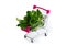 fresh green vegetables in a grocery basket. Mini shopping cart