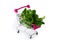 fresh green vegetables in a grocery basket. Mini shopping cart