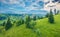 Fresh green view from flying drone of green valley in Carpathian village Stebnyi.