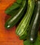 Fresh green zucchini