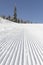 Fresh groomed snow on ski slope at ski resort on a sunny winter day. snow groomer tracks on a mountain ski piste. snowy spruces in