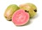 Fresh guava isolated