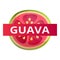 Fresh guava logo, cartoon style
