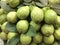 Fresh guavas