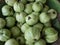 Fresh guavas fruit sale in a shop