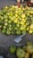 Fresh Guavas on a fruit vendors shop