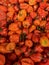 Fresh habanero pepper piled on the market. Food background. Harvest. Food background