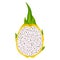 Fresh half cut yellow pitaya fruits isolated on white background. Summer fruits for healthy lifestyle. Organic fruit. Cartoon