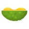 Fresh half durian icon, cartoon style