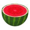 Fresh half watermelon fruit isolated on white background. Summer fruits for healthy lifestyle. Organic fruit. Cartoon style.