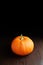 Fresh halloween pumpkin on dark background