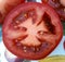 Fresh halved tomato