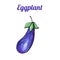 Fresh hand-drawn eggplant. Drawing healthy food. Marker illustrations.