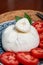 Fresh handmade soft Italian cheese from Puglia, white ball of burrata foglia saporosa or burratina cheese made from mozzarella and