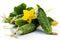 Fresh harvest of cucumbers with blossom isolated on white background. Green gherkins close up.