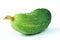 Fresh harvest of cucumbers with dry blossom isolated on white background. Green gherkins close up. Homegrown pickles macro shot.