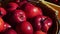 The fresh harvest of organic apples outdoors in dappled sunlight