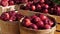 The fresh harvest of organic apples outdoors in dappled sunlight