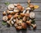 Fresh harvest of porcini mushrooms on wooden table. Lucky result of mushroom picking