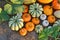 Fresh harvest of pumpkins and squashes