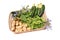 Fresh harvest vegetables in a basket