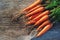 Fresh Harvested Carrot on Wooden Table in Garden. Vegetables Vitamins Keratin. Natural Organic Carrot lies on Wooden background