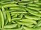 Fresh harvested green peas