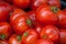 Fresh harvested tomato in a box