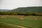 Fresh hay newly baled still in the field