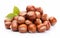 Fresh Hazelnuts on White Background