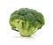 Fresh head of calabrese broccoli standing upright