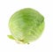 Fresh Head Green Cabbage