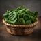 Fresh and Healthy Baby Spinach in a Wooden Basket