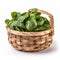 Fresh and Healthy Baby Spinach in a Wooden Basket